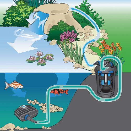 משאבת מים OASE AquaMax Eco Classic 2500 - תמונה 4